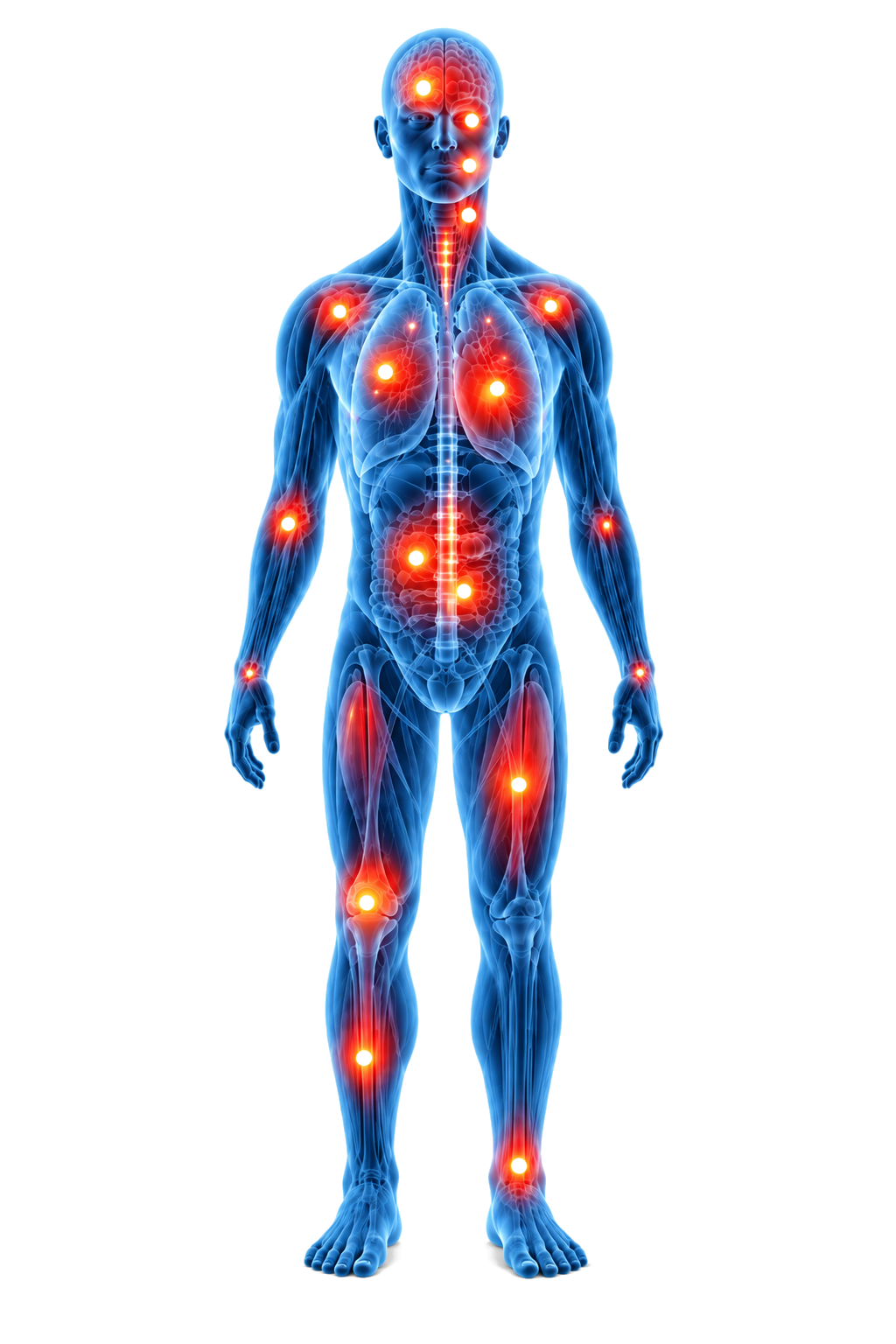 Illustration anatomique d'un corps humain sur laquelle plusieurs zones du corps sont mises en évidence par des points lumineux rouges.
